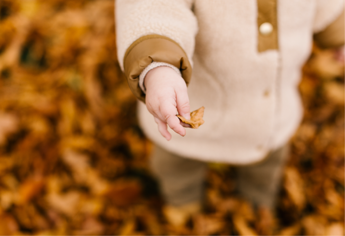 تجربة أم ” فألقيه في اليم”